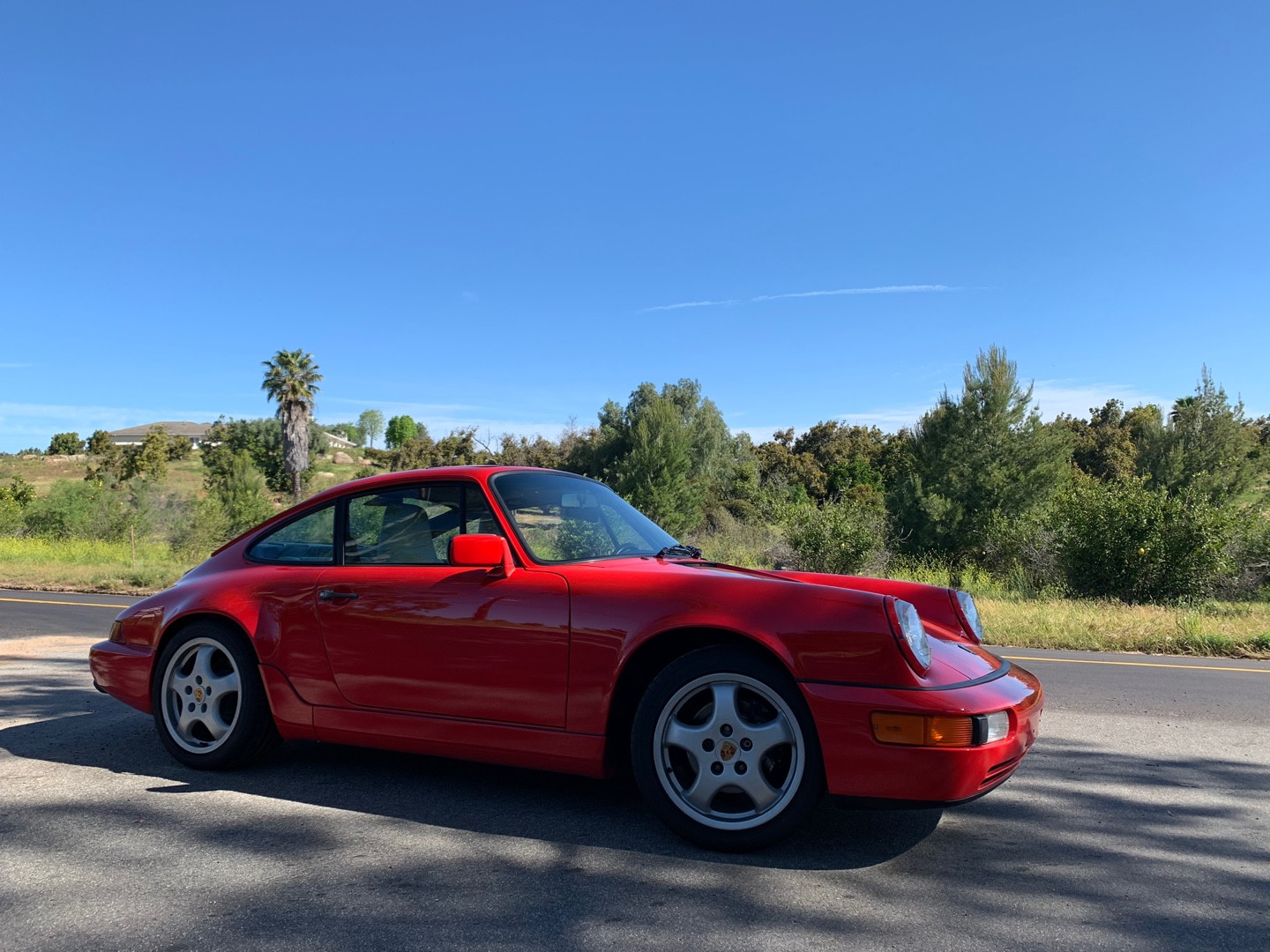 Sunlight reveals the front of the 911 and the lines of its body.