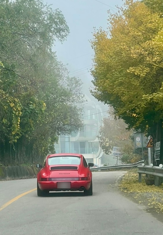 The rear of the 911 on a tree-lined road.